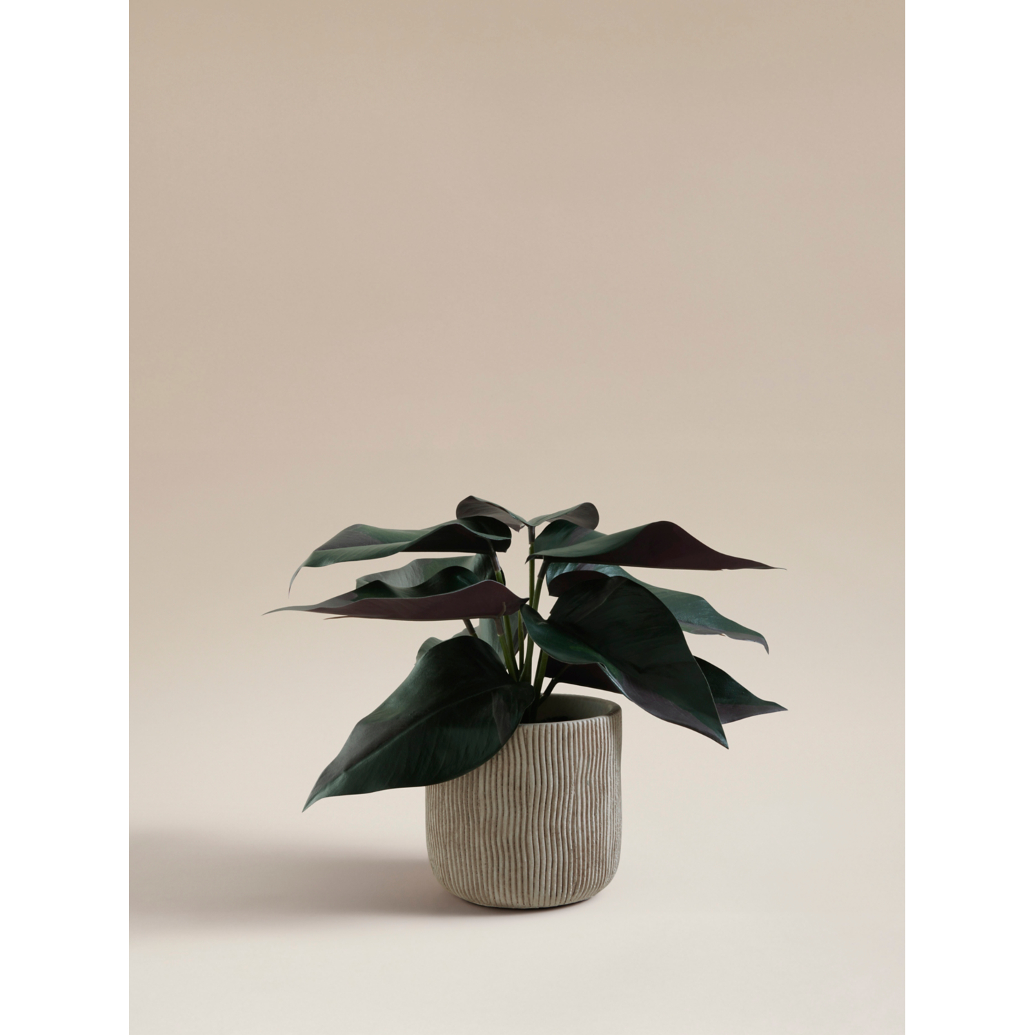 George Green Artificial Real Touch Leaf In Cement Ribbed Pot 22Cm