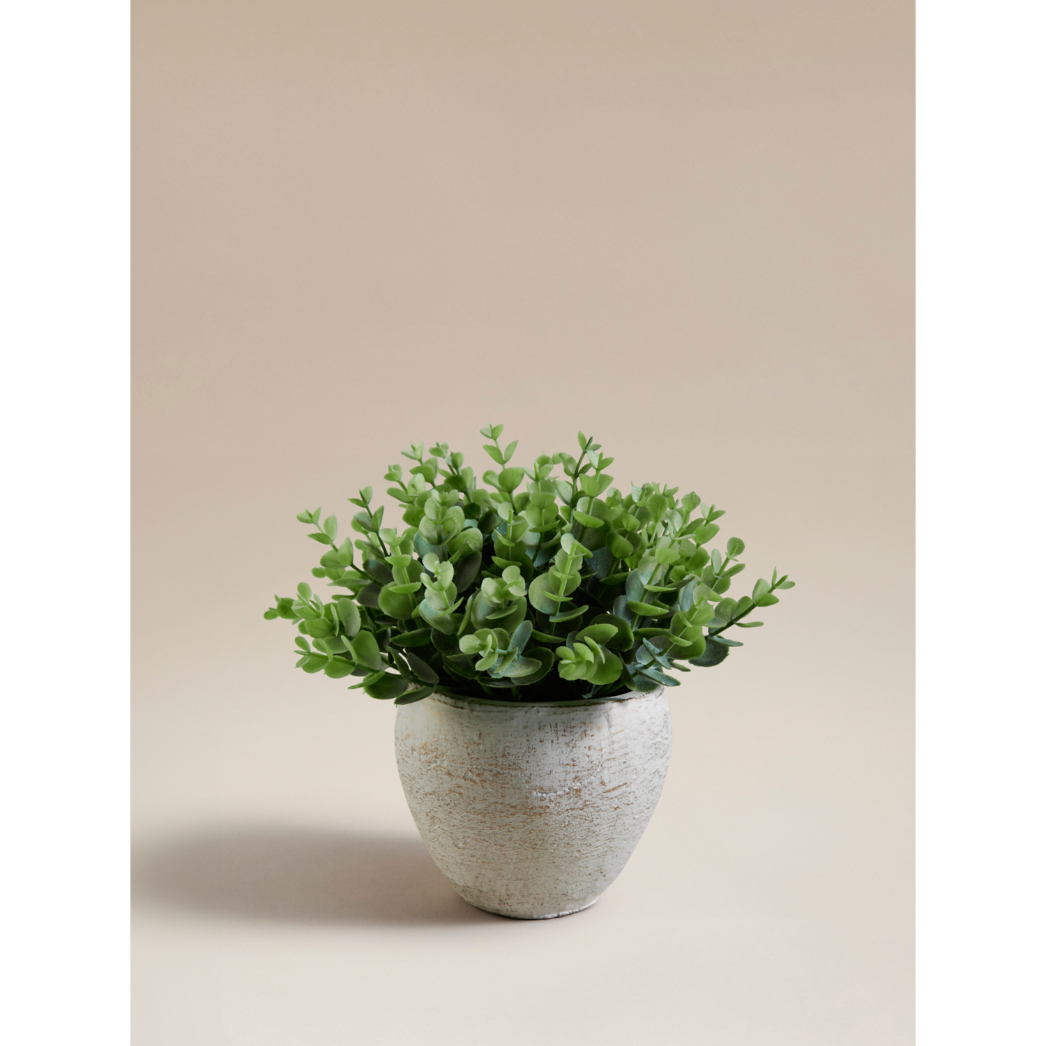 George Green Artificial Eucalyptus In Cement Pot