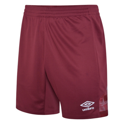 Umbro  Vier  boys's Children's shorts in Multicolour