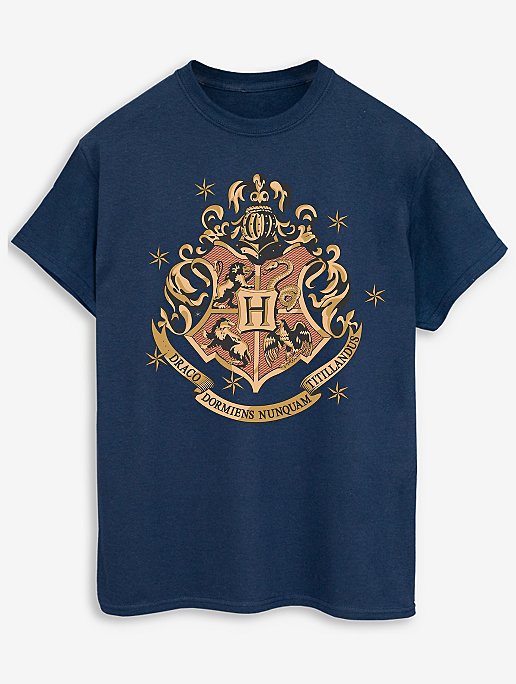 NW2 Harry Potter Gold Hogwart Adults Navy T-Shirt | Men | George at ASDA