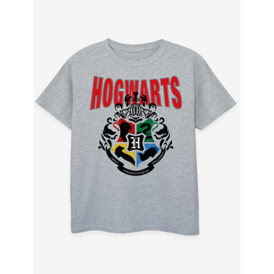 George NW2 Harry Potter Hogwarts Emblem Grey Printed T-Shirt