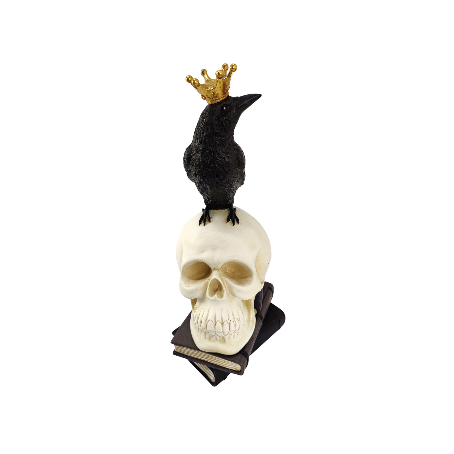 George Black & White The Seasonal Gift Co Crow Standing On A Skull
