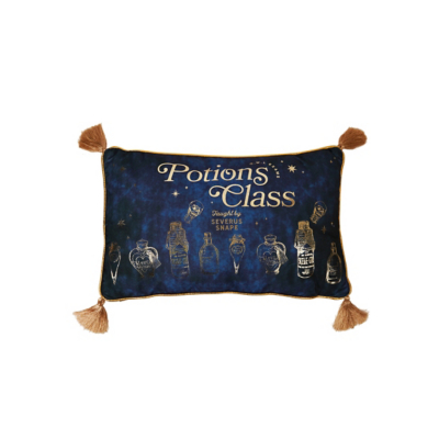 Warner Bros Harry Potter Alumni Velvet Cushion - Potions Class in Navy