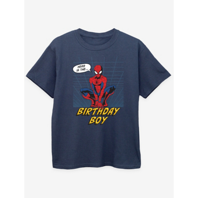 Marvel  Birthday Boy  boys's Children's T shirt in Blue