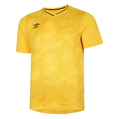 Umbro  Triassic  boys's Children's T shirt in Multicolour