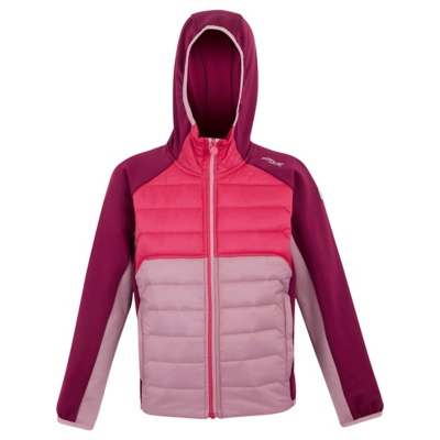 Regatta  Kielder IX  boys's Children's jacket in Purple