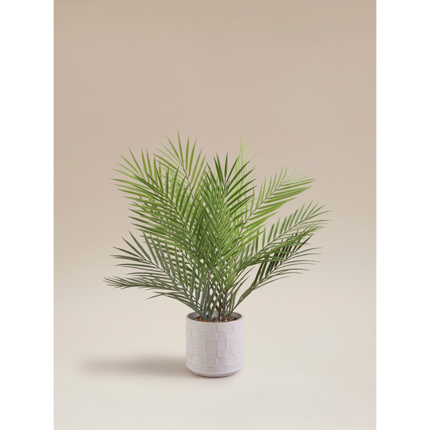 George Beige Artificial Areca Palm Plant In Reactive Glaze Ceramic Pot