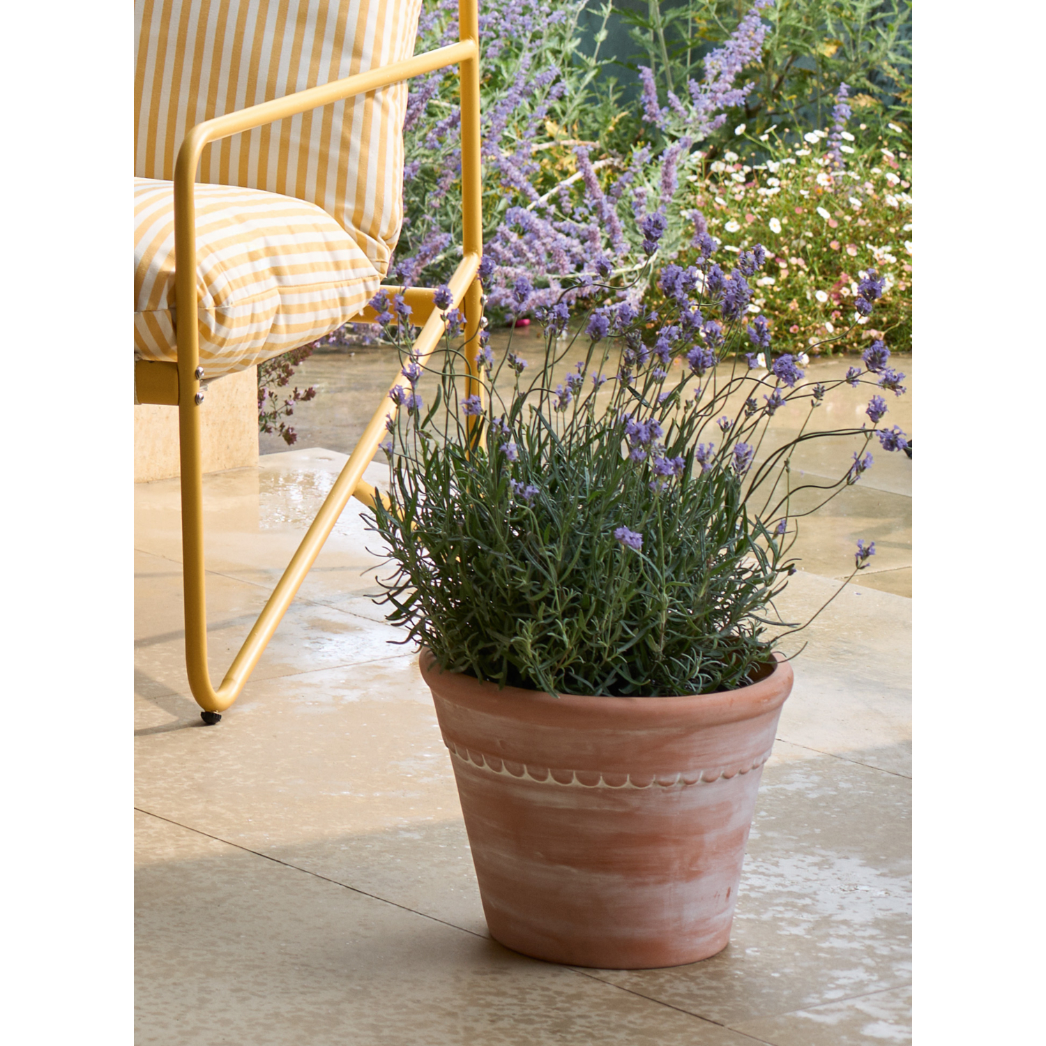 George Terracotta Large Ceramic Planter