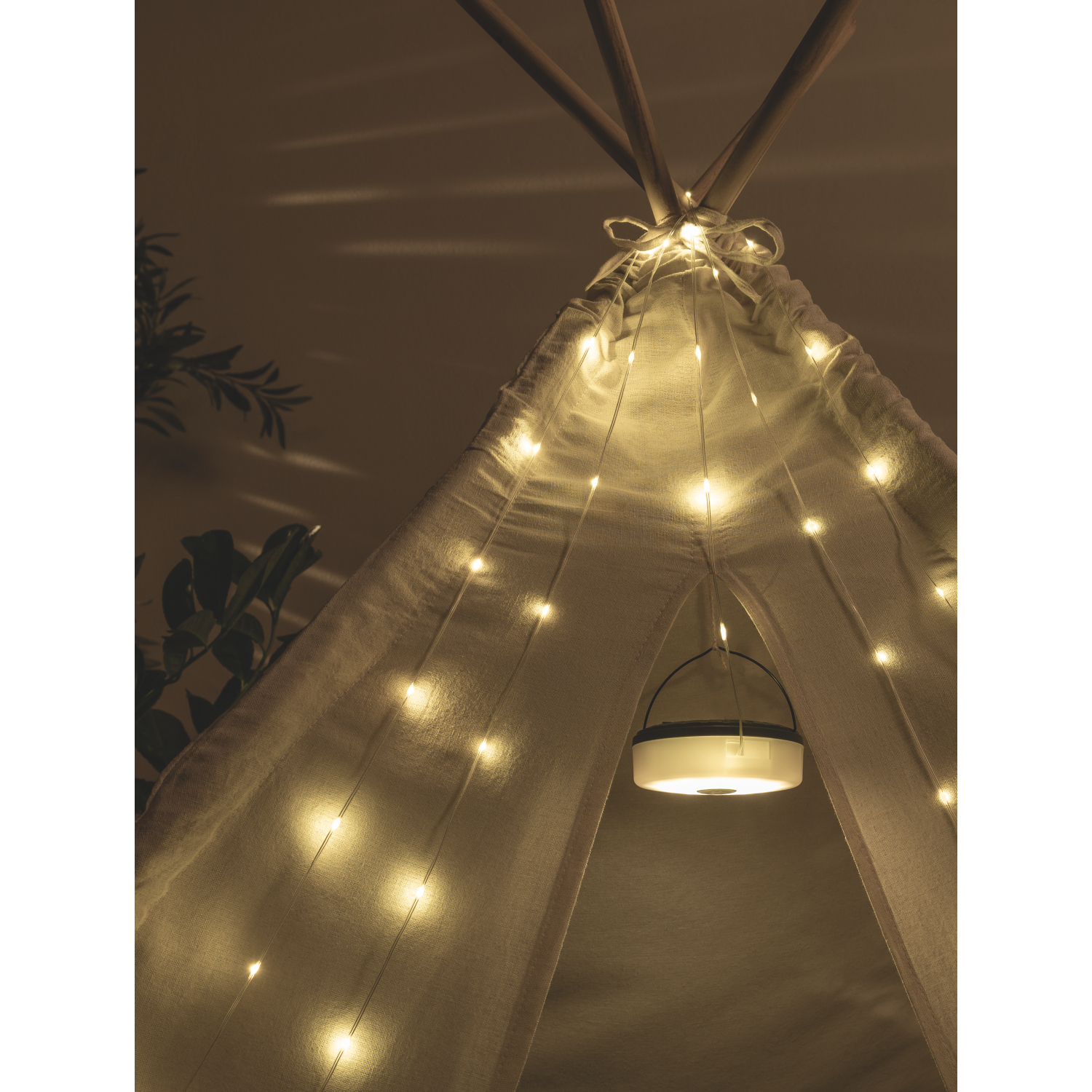 George Green & White Portable Solar Spotlight & String Lights
