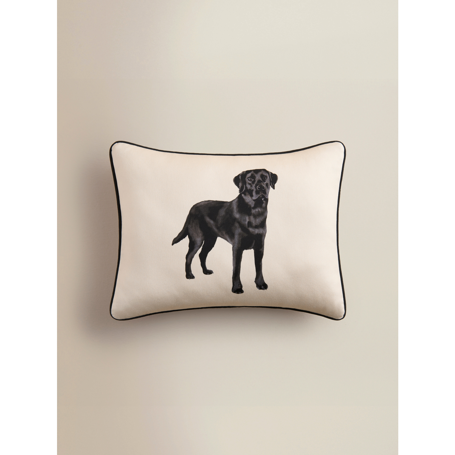 George Multi Labrador Printed Cushion