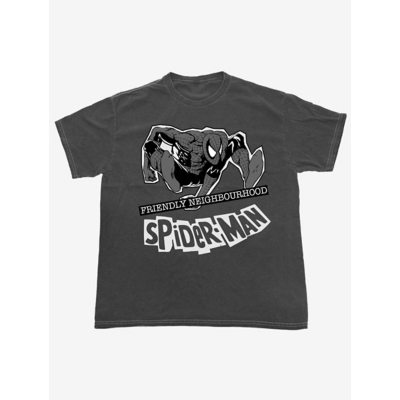 George NW2 Marvel Spider-Man Friendly Washed Charcoal T-Shirt - Charcoal Grey