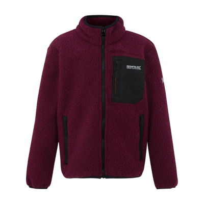 Regatta  Frankie  boys's Children's fleece jacket in Red
