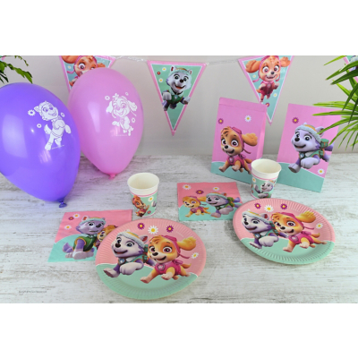 Paw Multi Patrol Skye & Everest Party Pack Size 16