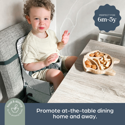 Dreambaby Feeding On-the-Go Booster Seat with Storage Baby