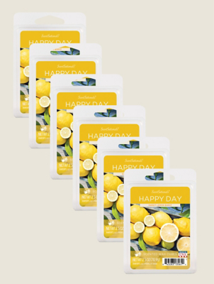 Scentsationals Happy Day Wax Cube - Set of 6 | George at ASDA