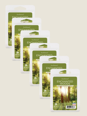 Scentsationals Enchanted Wood Wax Cube - Set of 6 | George at ASDA
