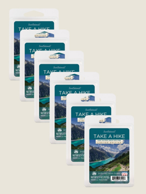 Scentsationals Take a Hike Wax Cube - Set of 6 | George at ASDA