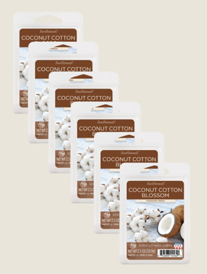 Scentsationals Coconut Cotton Wax Cube - Set of 6 | George at ASDA