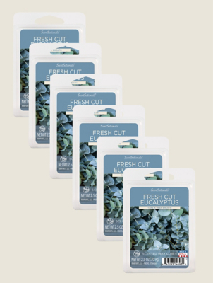 Scentsationals Fresh Cut Eucalyptus Wax Cube - Set of 6 | George at ASDA