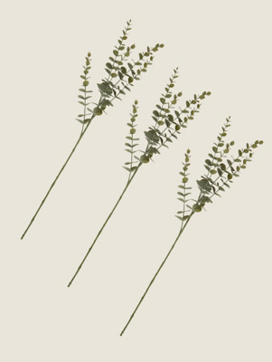 Eucalyptus Stem Set of 3 at ASDA