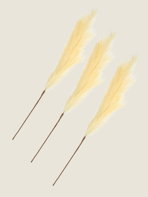 Cream Pampas Stem Set of 3 at ASDA