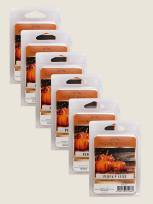 Pacific Wax Co Pumpkin Spice Wax Melt Set of 6 at ASDA