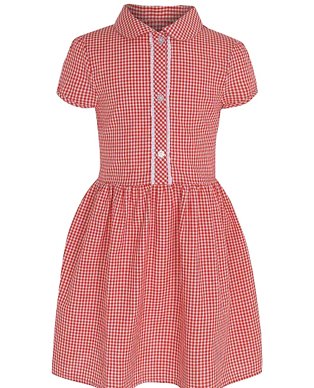 A red gingham dress