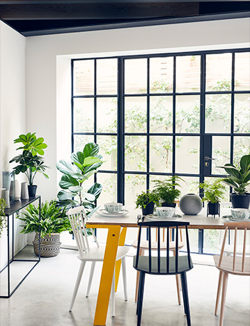 Gif of bed with leaf print bedding and matching cushions, and a kitchen table surrounded by green plants