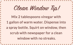 Text saying 'Clean window Tip!'