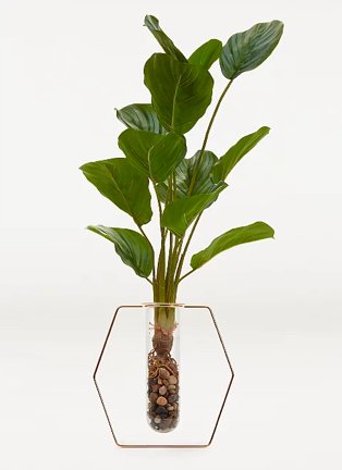 Artificial cheese plant in test tube vase.
