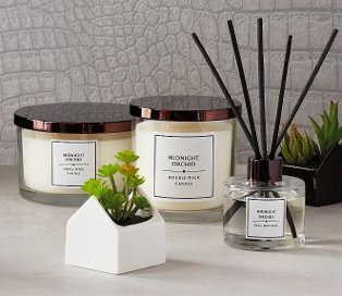 Midnight orchid triple wick candle, midnight orchid double wick candle, midnight orchid reed diffuser and artificial plant in white house pot.