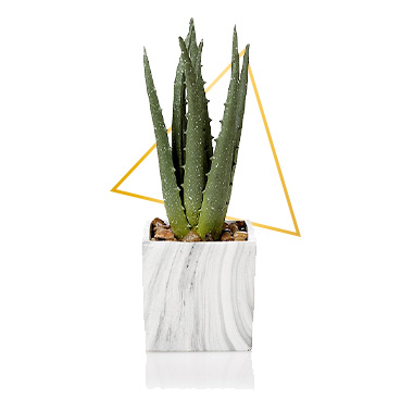 Hit refresh with this artificial aloe vera plant in a marble effect pot