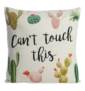 This cushion is designed with a 'Can't touch this' slogan and cacti
