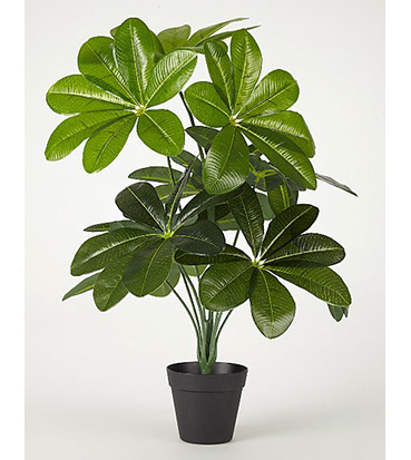 Artificial plant in black pot