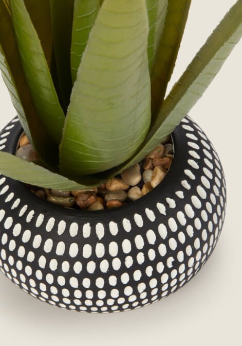 Artificial Aloe Plant in a Black & White Dimple Pot