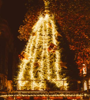 Large illuminated Christmas tree.