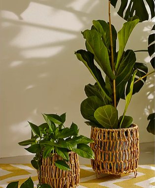Two artificial plants on yellow and white chevron table cloth.