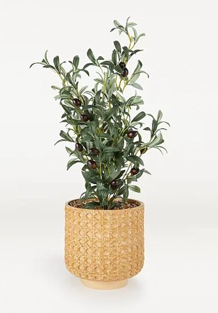 Artificial olive tree in cane-effect pot.