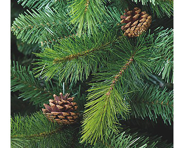 Close-up shot of pine cones on a Christmas tree