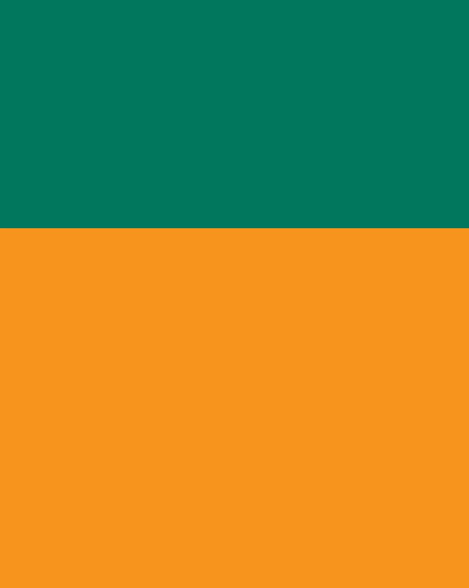 Green and orange brackground