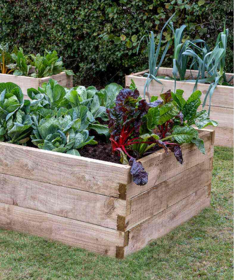 Forest Garden Caledonian Square Raised Bed ninety by ninety centimetres.