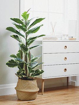 An artificial plant in a wicker basket next to white drawers