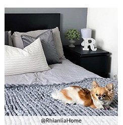 A small dog lying on a double bed with a grey and white duvet set and matching throw