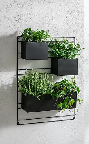 Black hanging wall planter frame filled with greenery.