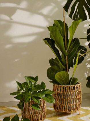 Rattan plant pots.