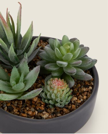 Artificial succulents in a black bowl.