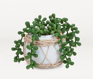 Artificial wrapped succulent in round white pot.