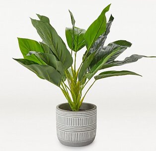 Artificial plant in grey cement pot.