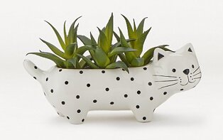 Artificial succulent in white spotty cat pot.