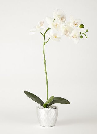 Artificial lilies in silver-tone chimney vase.